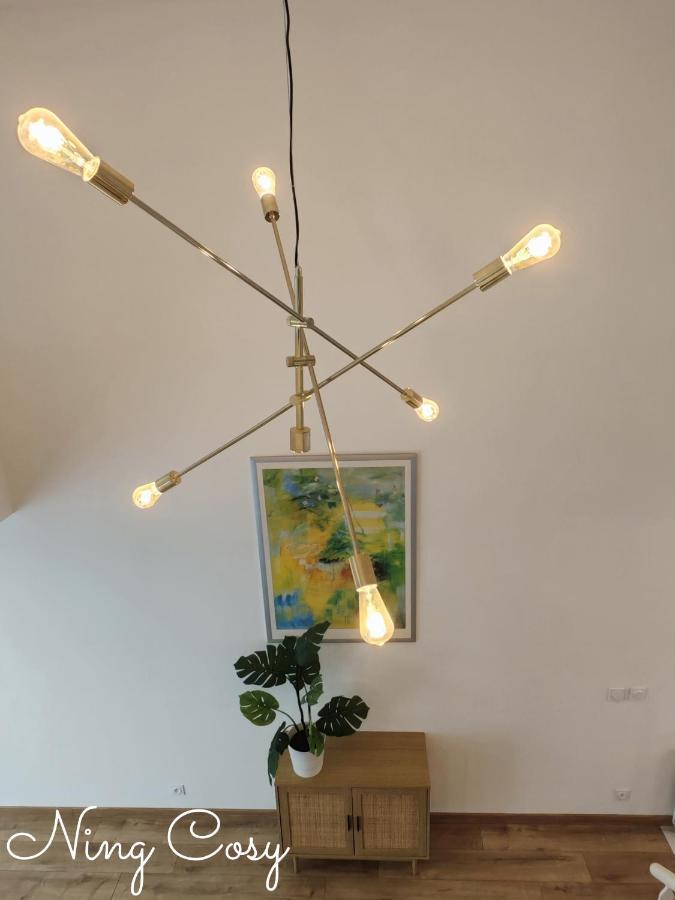 Superbe Cosy Duplex Appartement T3 Charpenne Tete D'Or Avec Parking Prive Gratuit 빌뢰르반 외부 사진